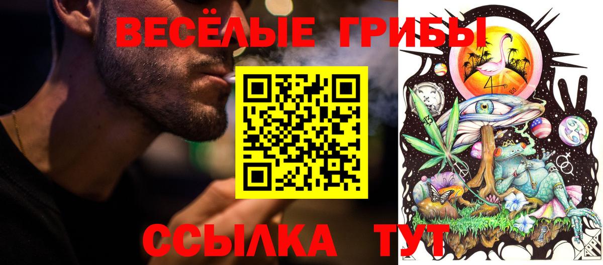 Галлюциногенные грибы прущие грибы  Вход с VPN  Киреевск 